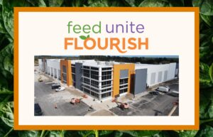 picture of orange white and grey building at construction site with orange border and large spinach background