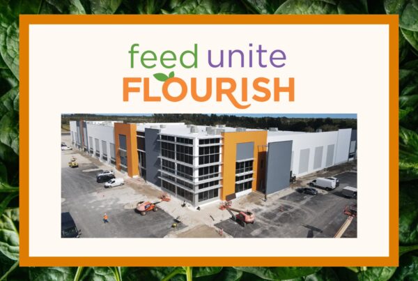 picture of orange white and grey building at construction site with orange border and large spinach background