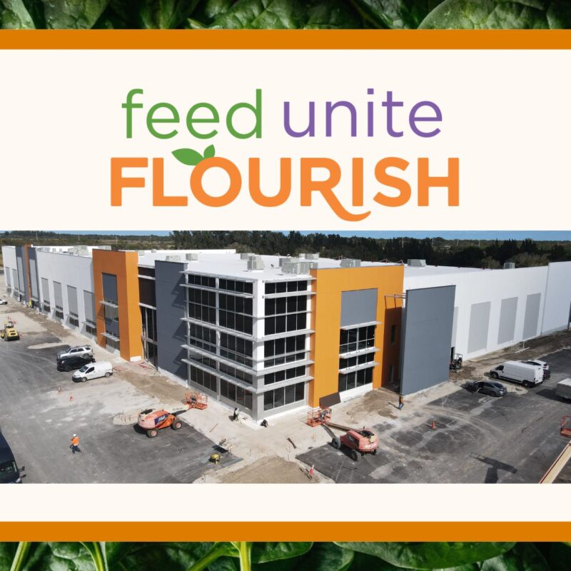 picture of orange white and grey building at construction site with orange border and large spinach background